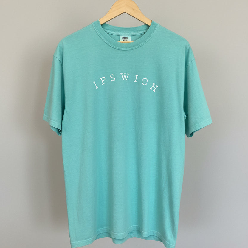 Ipswich Seagull Tee