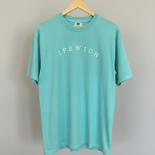 Ipswich Seagull Tee